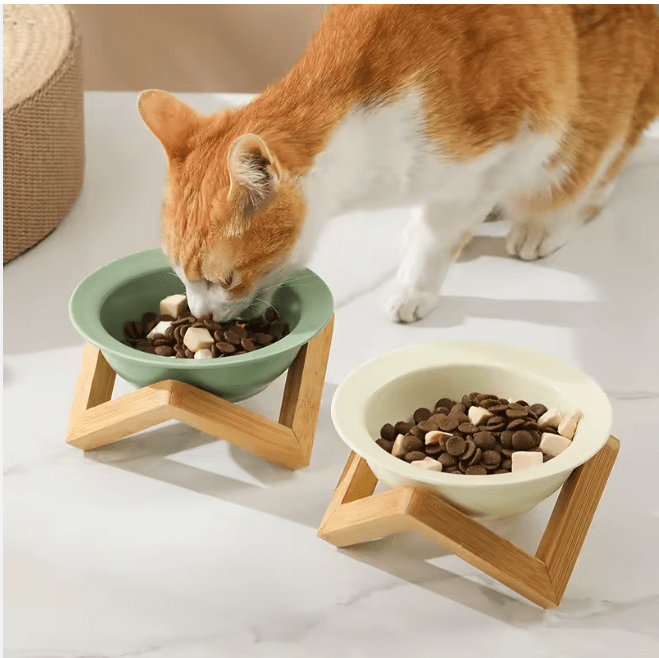 Ceramic cat feeding bowls on bamboo stands: mint green and cream