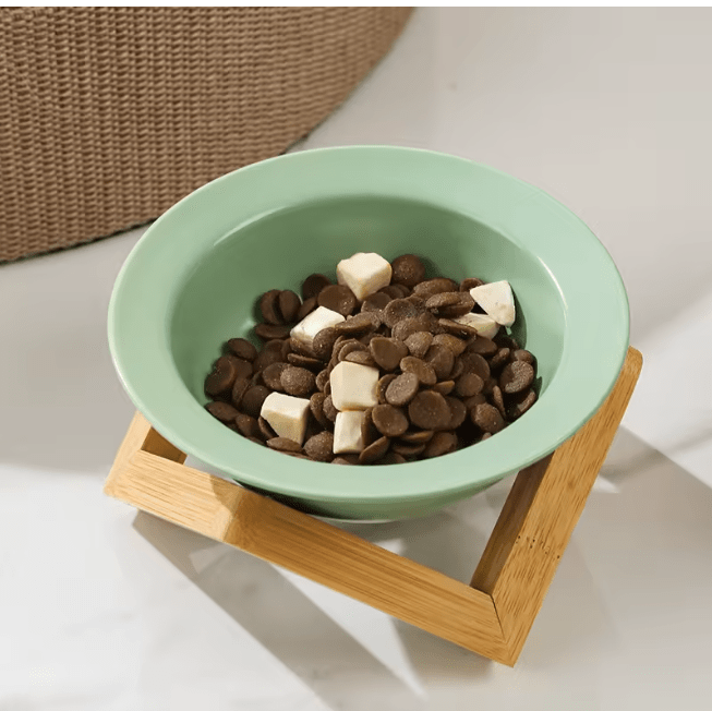 Mint green ceramic cat bowl on light bamboo elevated stand