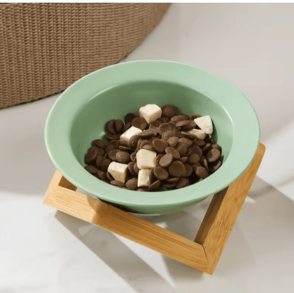 Mint green ceramic cat bowl on light bamboo elevated stand