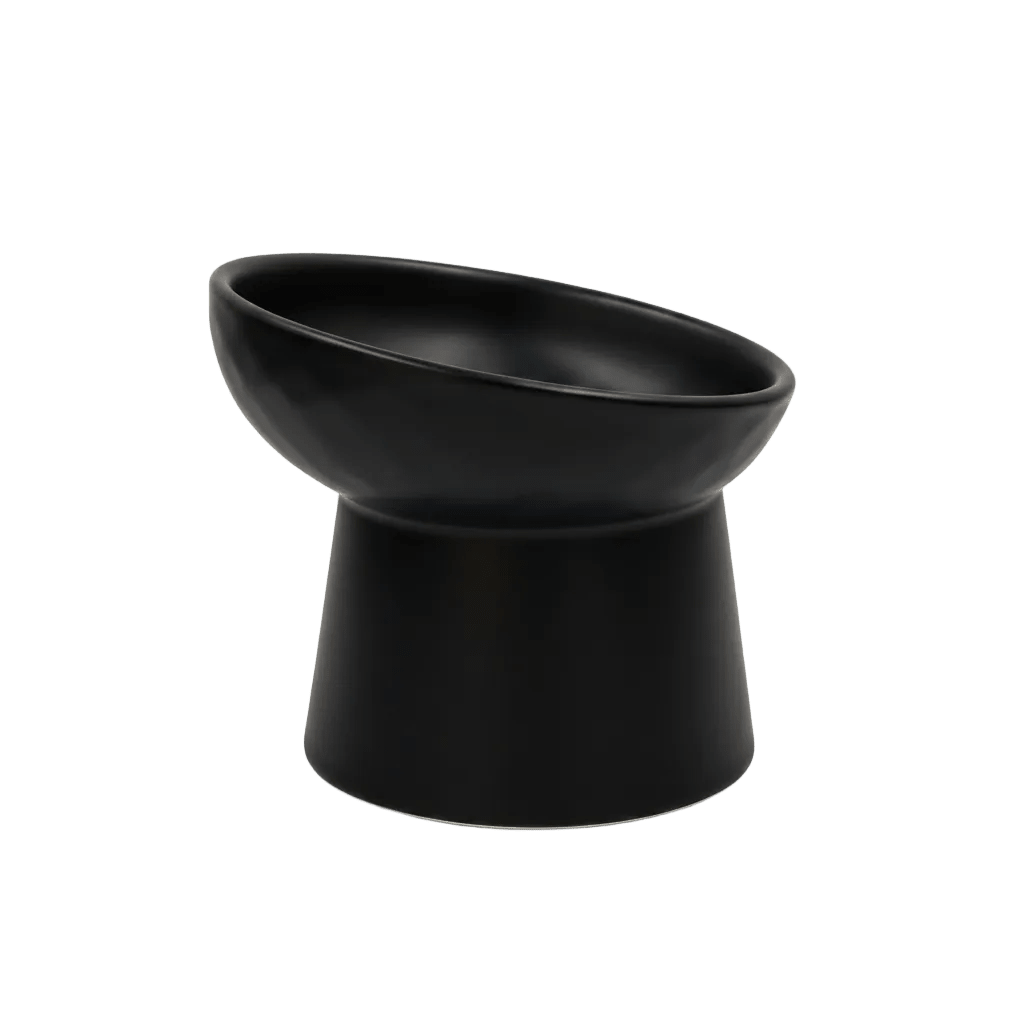 Black tilted ceramic cat bowl, side view; shallow bowl with wide rim on pedestal base.