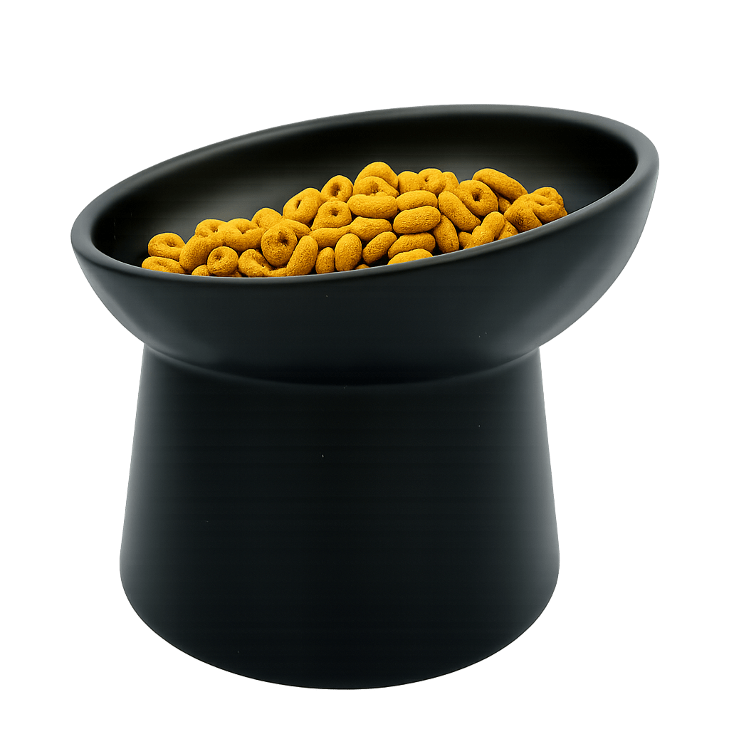 Black tilted ceramic cat bowl filled with dry kibble