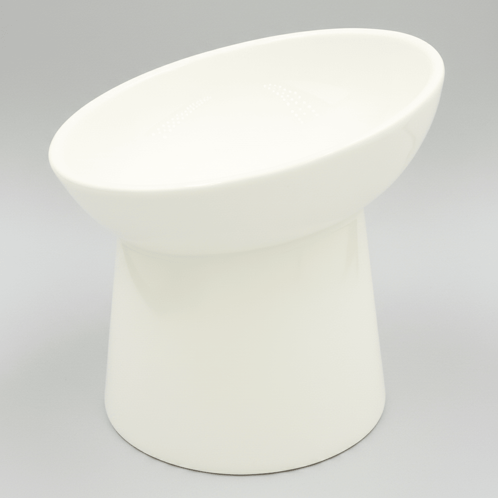 White tilted ceramic cat bowl, empty and smooth glazed finish
