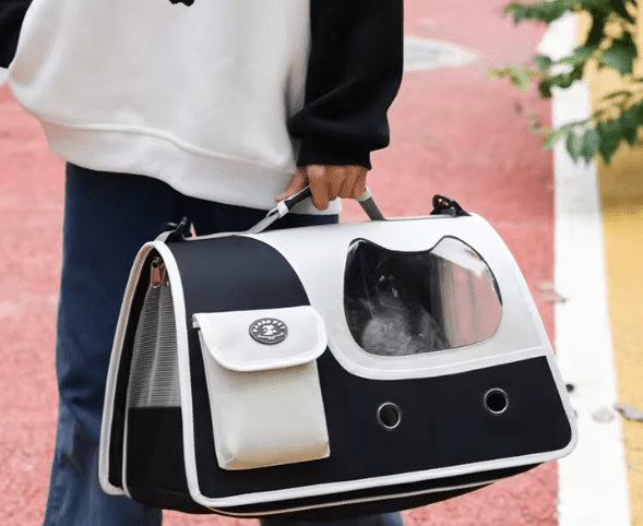 Black foldable cat carrier with front window and side pocket; cat visible inside