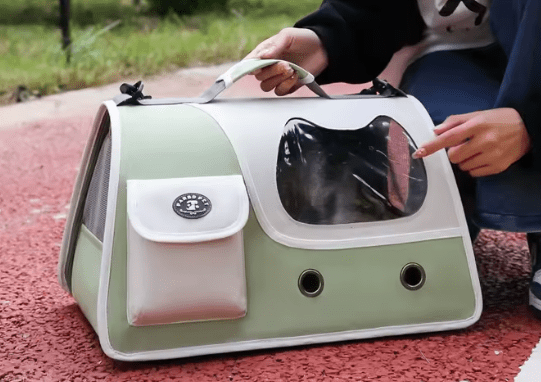 Light green foldable cat carrier with front window and side pocket; cat inside