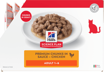 Wet cat food pouch with chunks in gravy, adult 1–6 (chicken).
