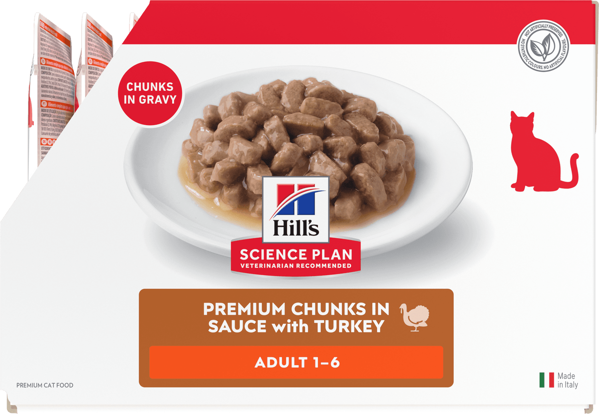 Wet cat food pouch with chunks in gravy, adult 1–6 (turkey).