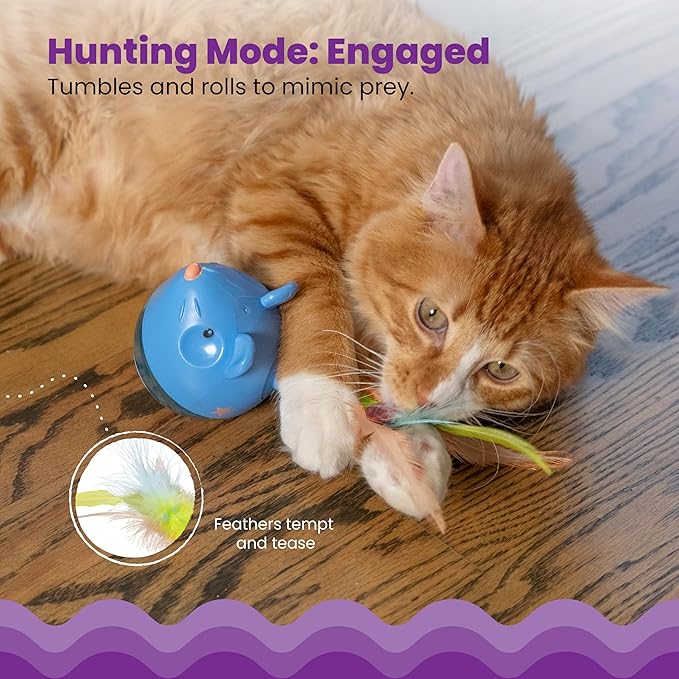 Blue treat tumbler toy on floor as orange cat bats it with a paw