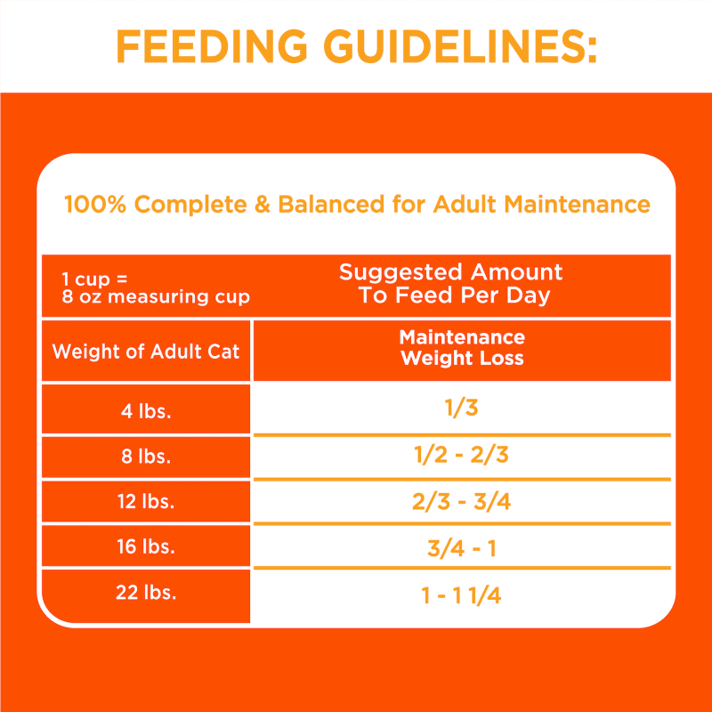 Adult cat food feeding guidelines table with suggested daily amounts by cat weight