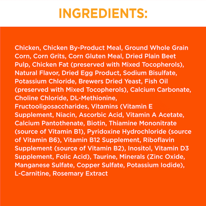 Adult cat food ingredients label with chicken, grains, beet pulp, oils, minerals