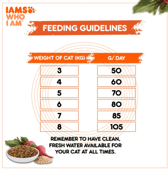 IAMS feeding guidelines chart with weight ranges and grams per day