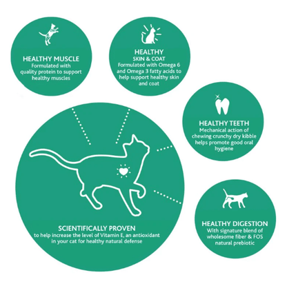IAMS health feature icons: muscle support, skin and coat, teeth and digestion