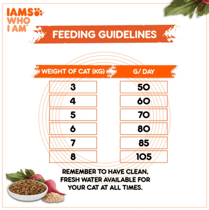 IAMS Proactive Health feeding guidelines chart with weight of cat and grams per day table