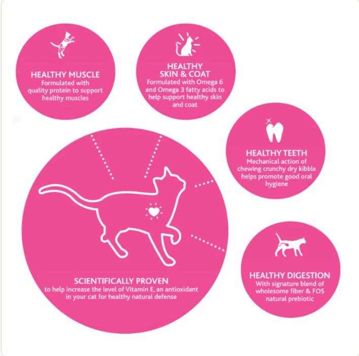 Cat nutrition benefits infographic with pink circles showing healthy muscle, teeth, digestion