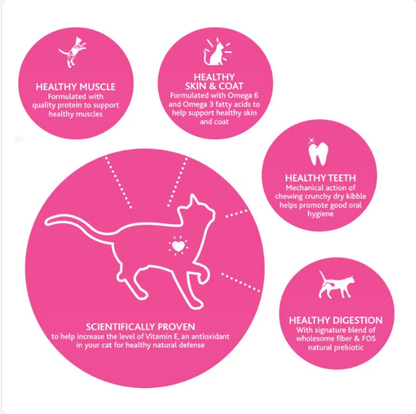 Cat nutrition benefits infographic with pink circles showing healthy muscle, teeth, digestion