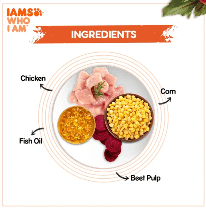 IAMS Proactive Health ingredients diagram with chicken, corn, fish oil, and beet pulp