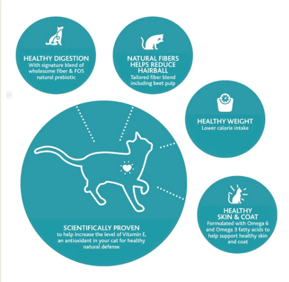 Teal infographic showing cat food benefits: healthy digestion, natural fibers, weight, skin