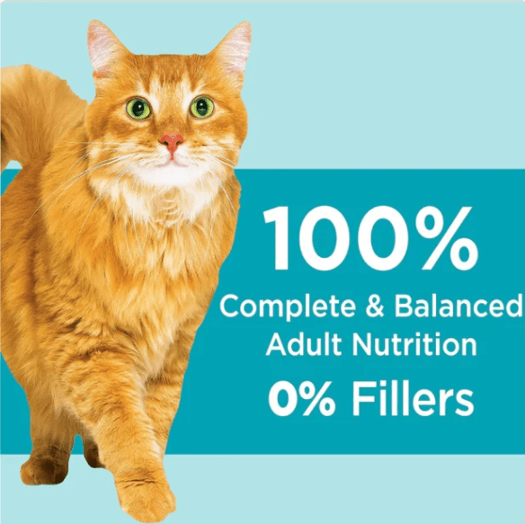 Orange tabby cat on cat food label reading 100% complete balanced adult nutrition, 0% fillers
