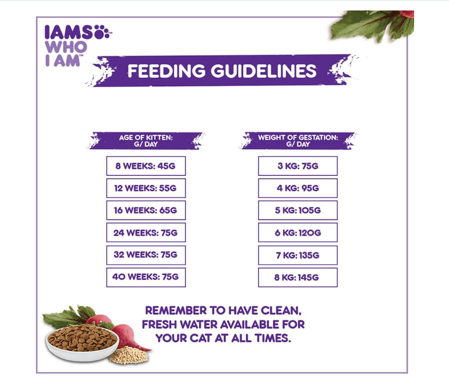 Feeding guidelines chart panel for IAMS mother and kitten cat food with bag graphic.