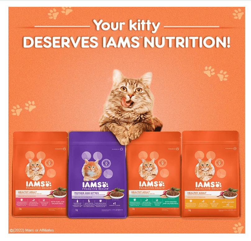 Promotional image showing a kitten with four IAMS cat food packs in orange.