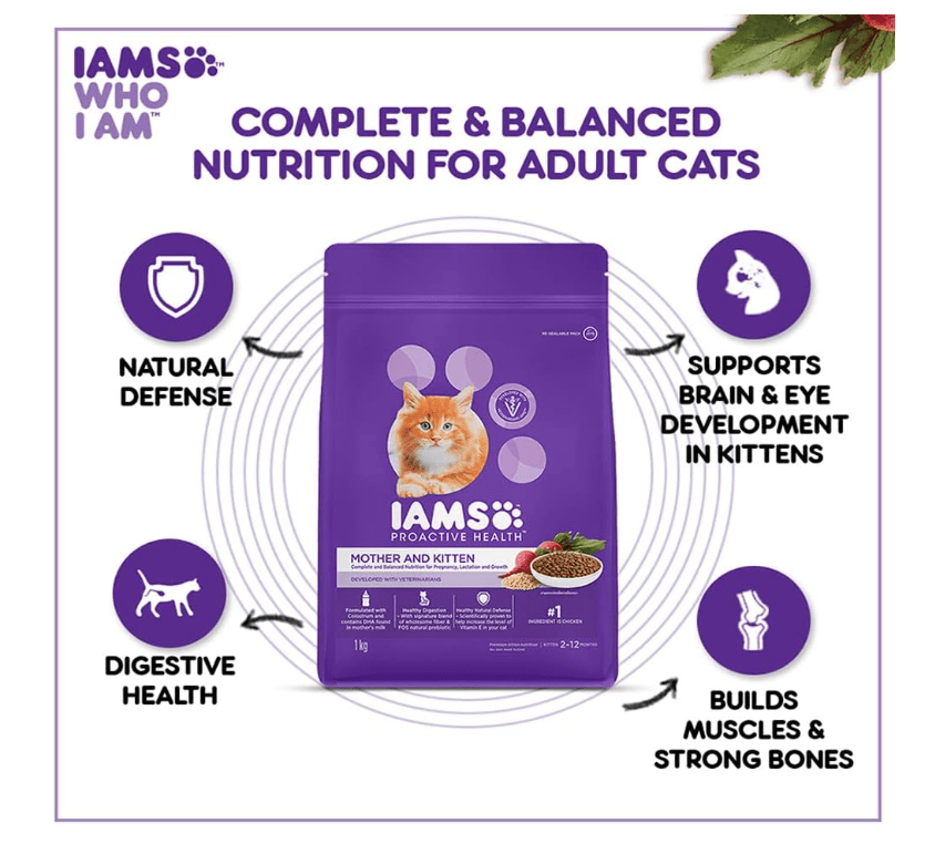 Promotional panel featuring an IAMS purple mother-and-kitten cat food bag and health icons.