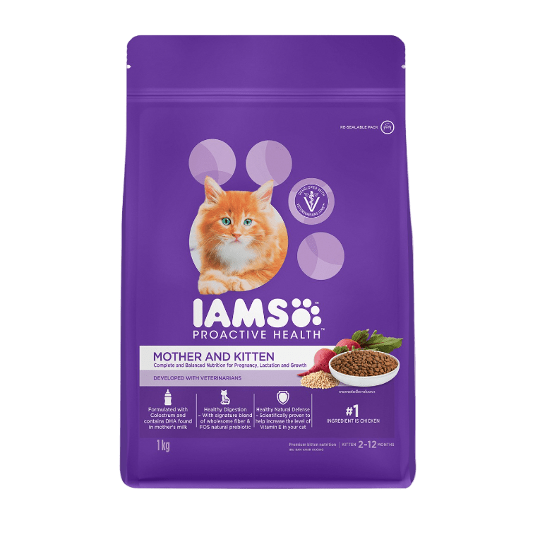 Purple IAMS mother and kitten cat food bag, chicken flavor, 1 kg.