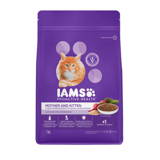 Purple IAMS mother and kitten cat food bag, chicken flavor, 1 kg.