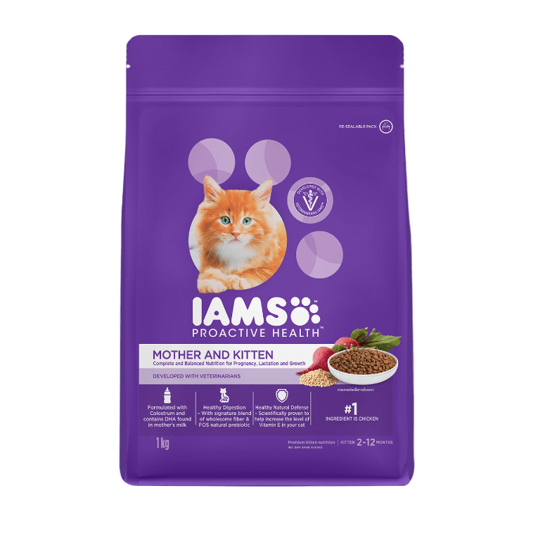 Purple IAMS mother and kitten cat food bag, chicken flavor, 1 kg.