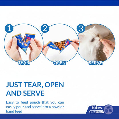 Churu Fun Bites feeding steps graphic: tear, open, and serve