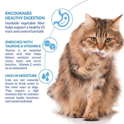 Cat hairball control chicken treat, tabby cat with GI icons