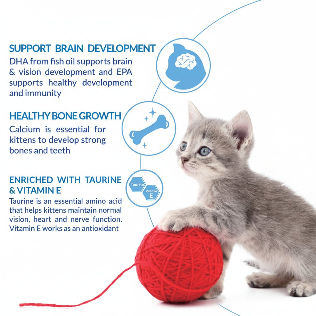 Kitten with yarn ball, enriched kitten supplement benefits graphic