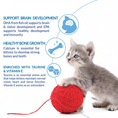 Kitten with yarn ball, enriched kitten supplement benefits graphic