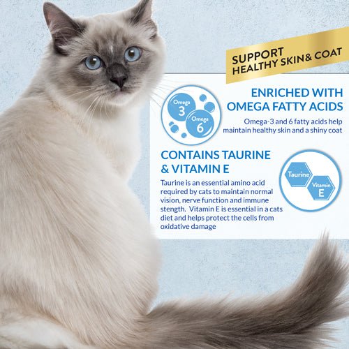 Cream-colored cat beside Churu Skin&Coat benefits label with taurine and vitamin E
