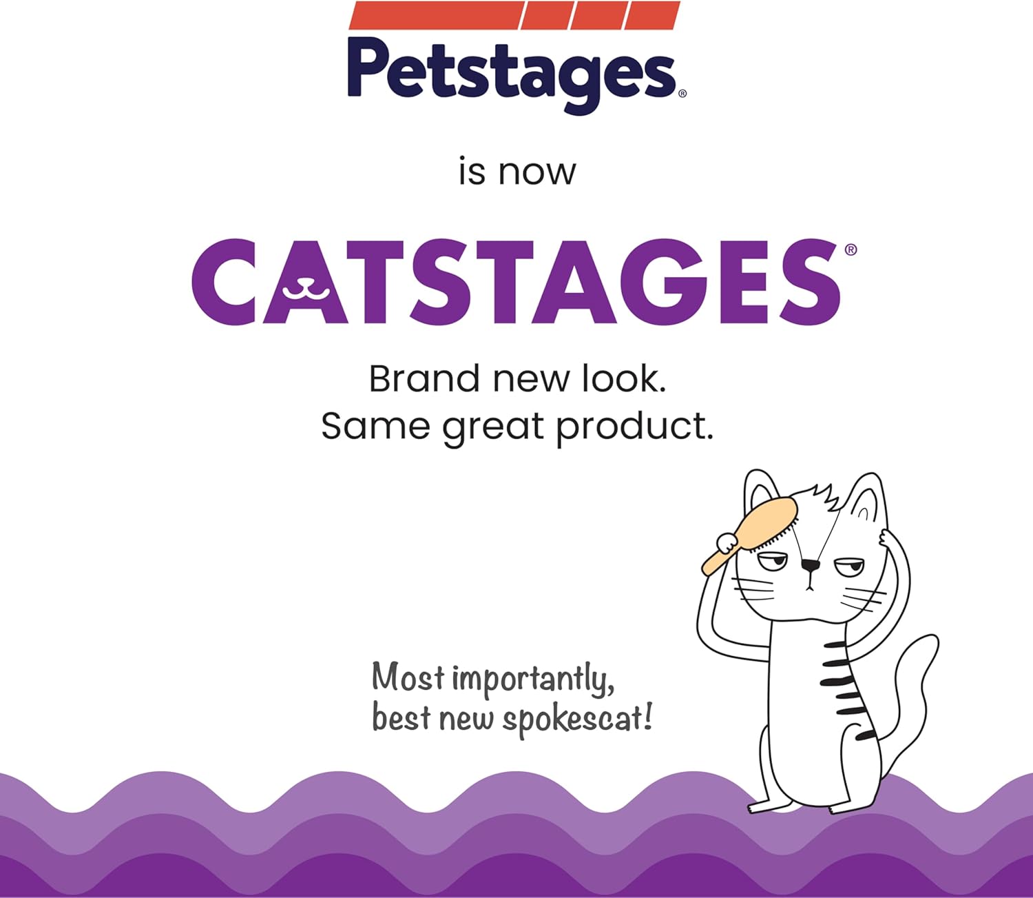Promotional Catsages logo card with cat illustration and purple waves background