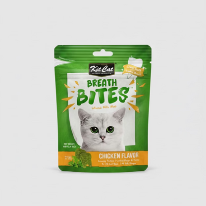 Cat dental treat pouch, green front with kitten face and Chicken flavor