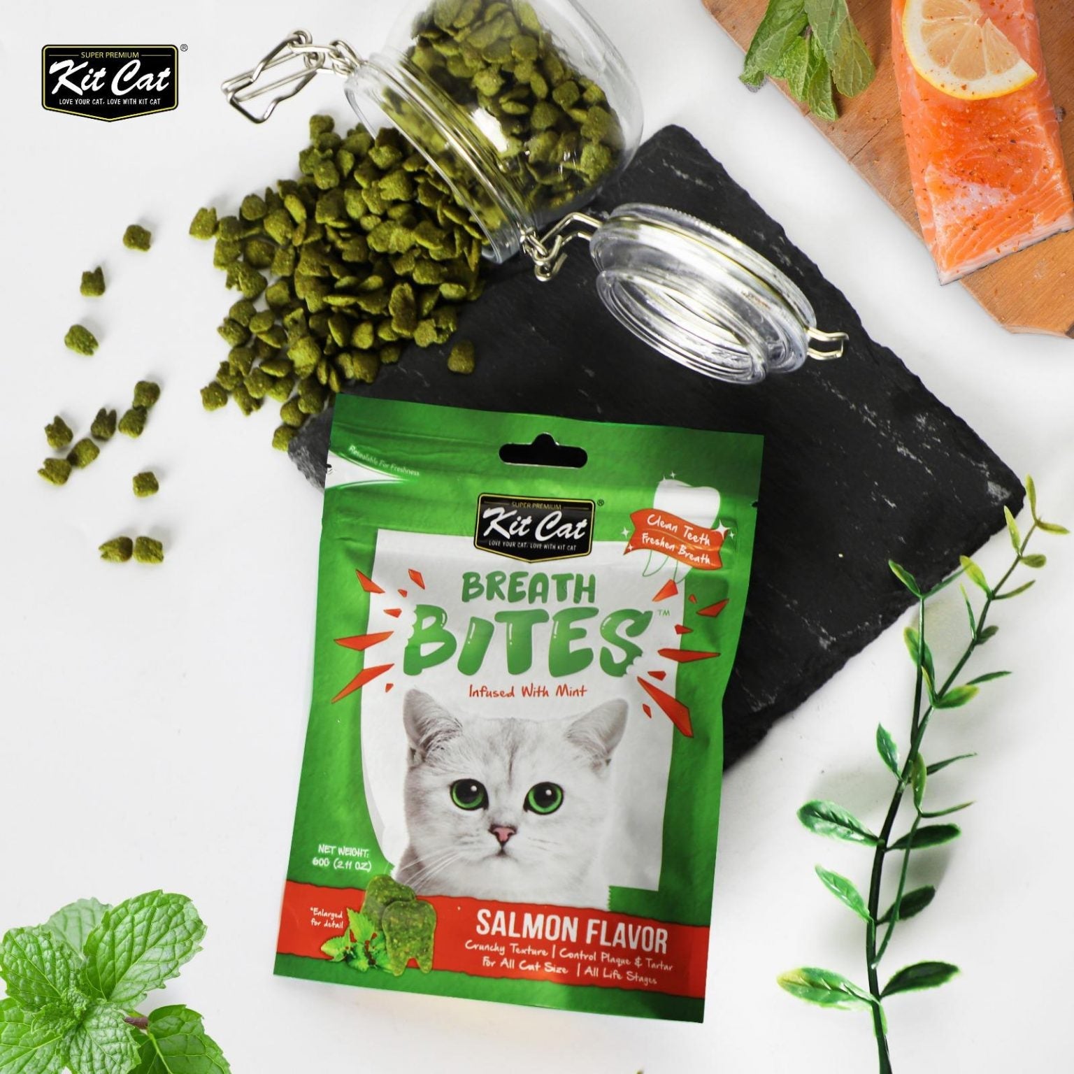 Cat dental treat pouch with scattered green treats and mint sprigs nearby