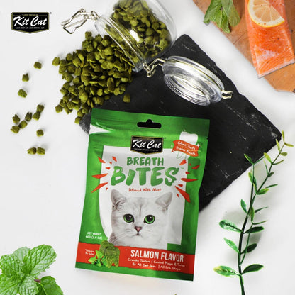 Cat dental treat pouch with scattered green treats and mint sprigs nearby