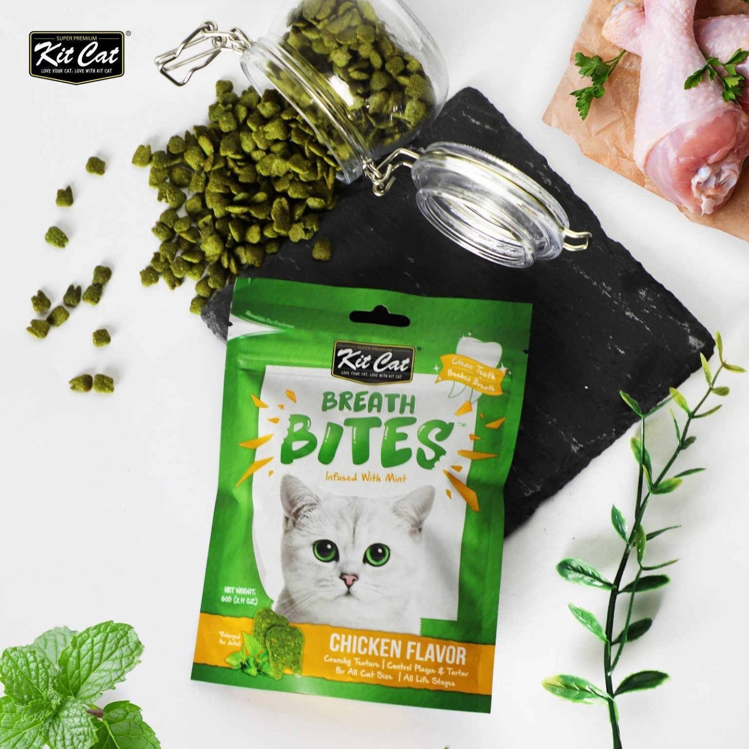 Cat dental treat pouch with scattered green treats and mint leaves nearby