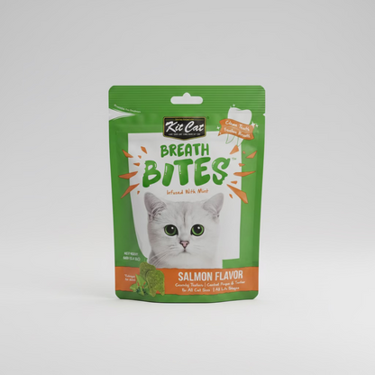 Cat dental treat pouch, green front with kitten face and Salmon flavor