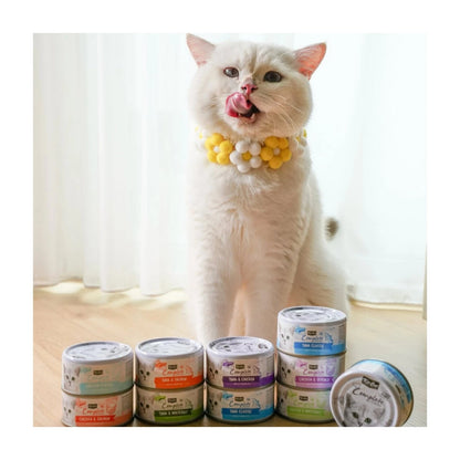 Kit Cat Complete Cuisine Wet Cat Food — product information — Complete Cuisine_Lifestyle