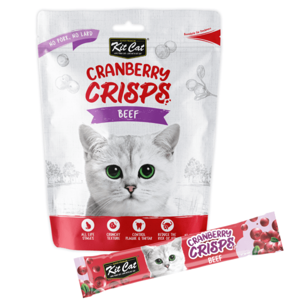 Kit Cat Cranberry Crisps Beef 60g