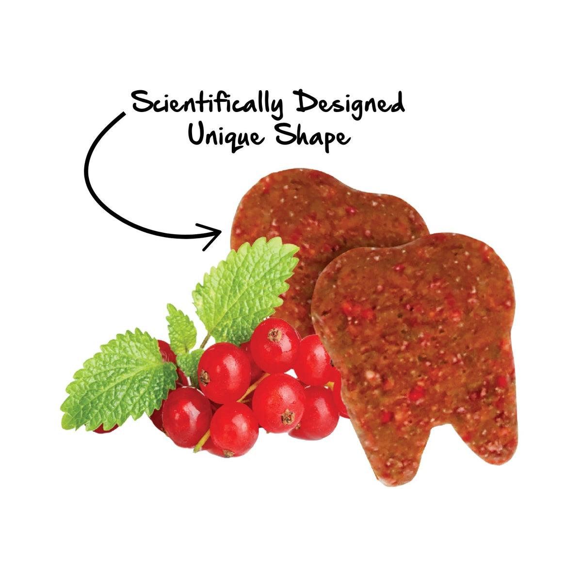 Kit Cat Cranberry Crisps Cat Treats — product information — Actual Product_Cranberry Crisps