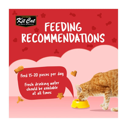 Kit Cat KittyCrunch Cat Treats 60g — Beef — Kitty Crunch_Feeding_Beef