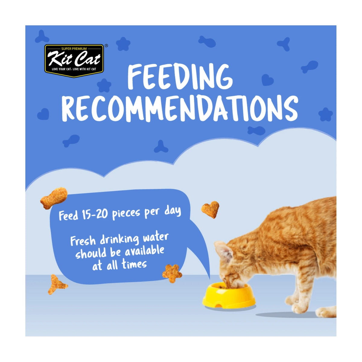 Kit Cat KittyCrunch Cat Treats 60g — Seafood — Kitty Crunch_Feeding_Seafood