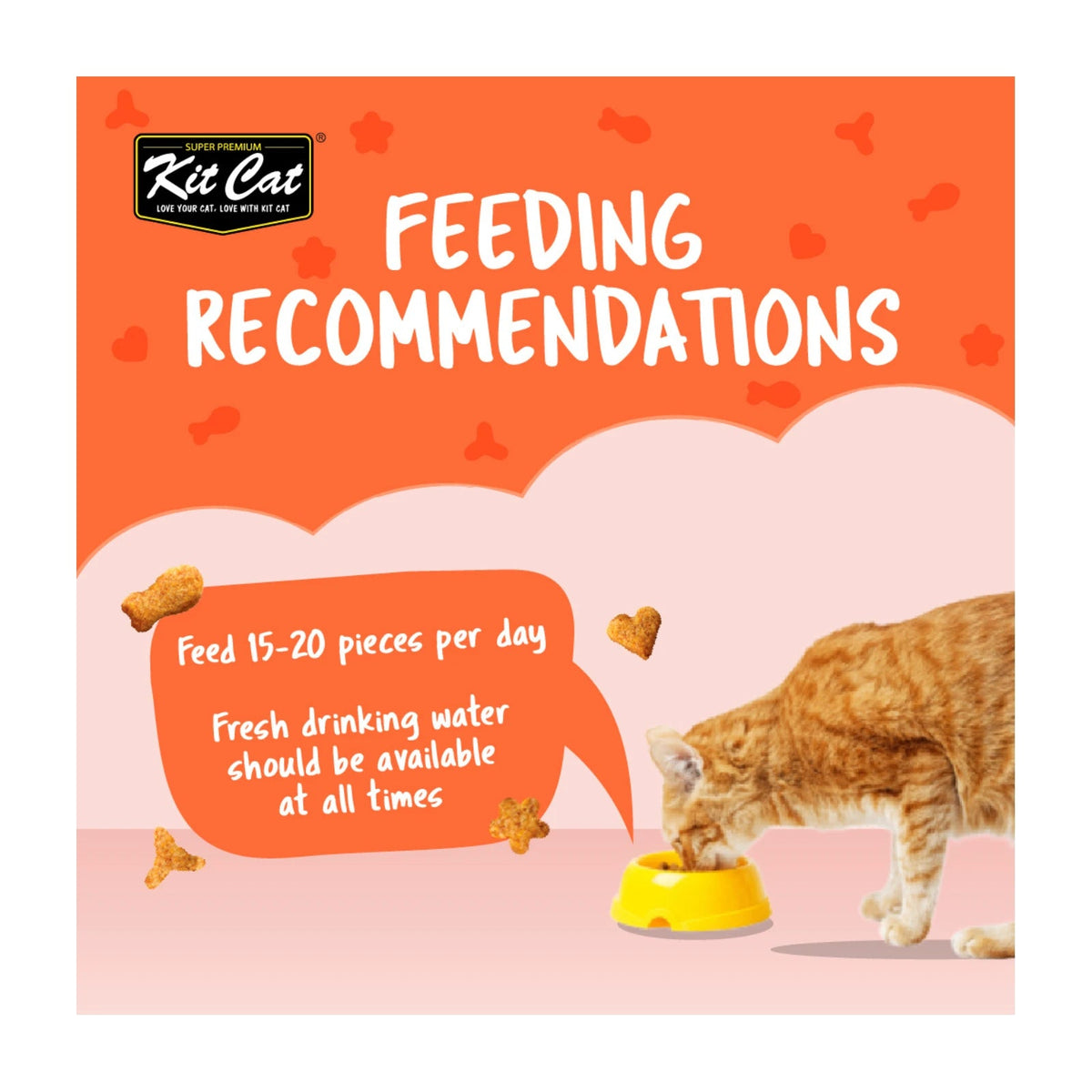 Kit Cat KittyCrunch Cat Treats 60g — Salmon — Kitty Crunch_Feeding_Salmon