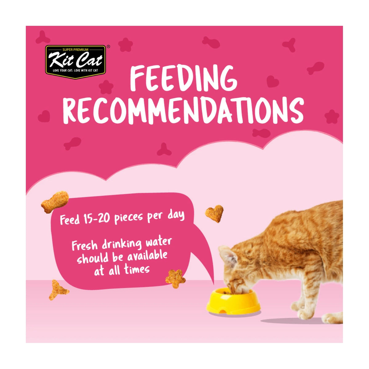 Kit Cat KittyCrunch Cat Treats 60g — Tuna — Kitty Crunch_Feeding_Tuna