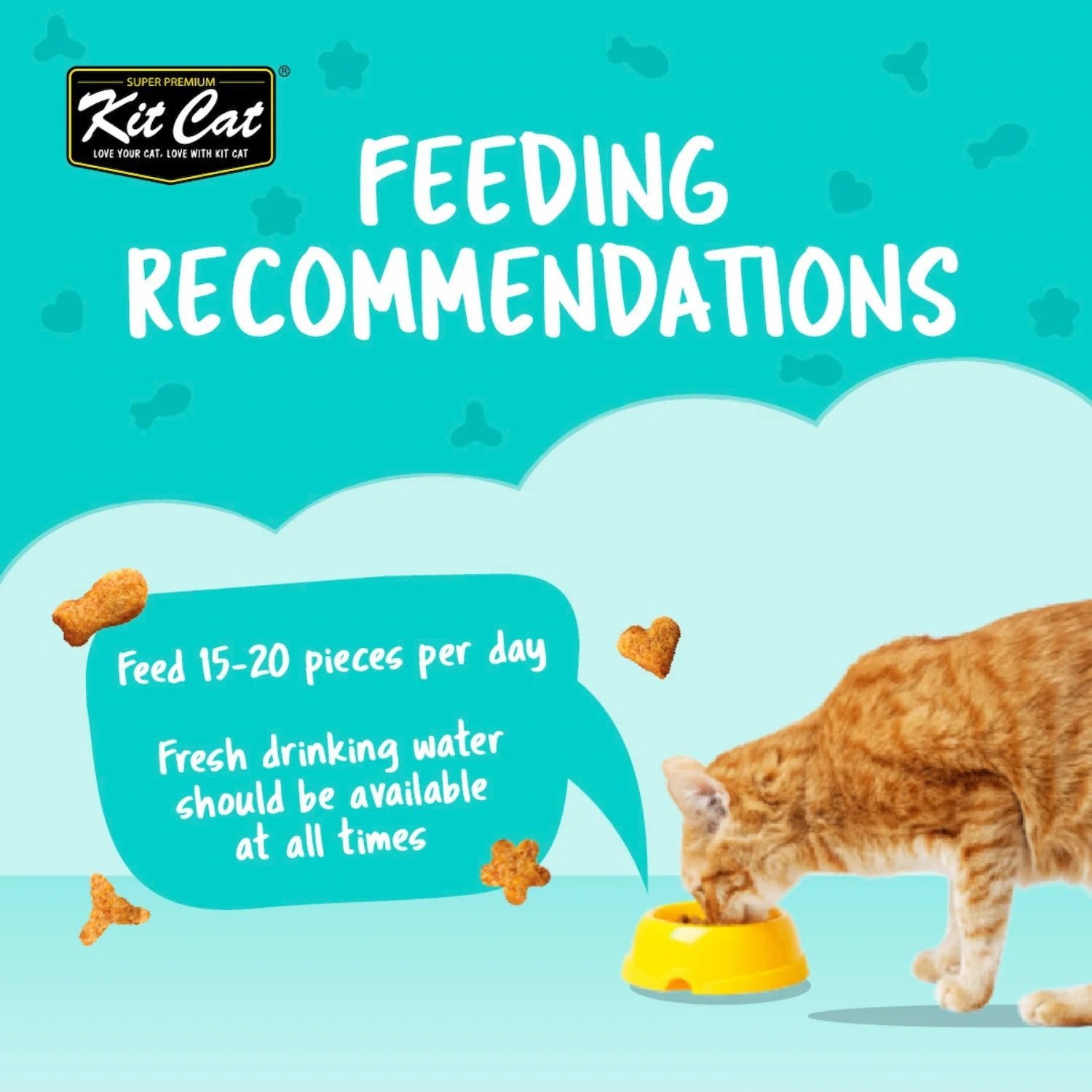 Kit Cat KittyCrunch feeding recommendations with cat bowl and treats