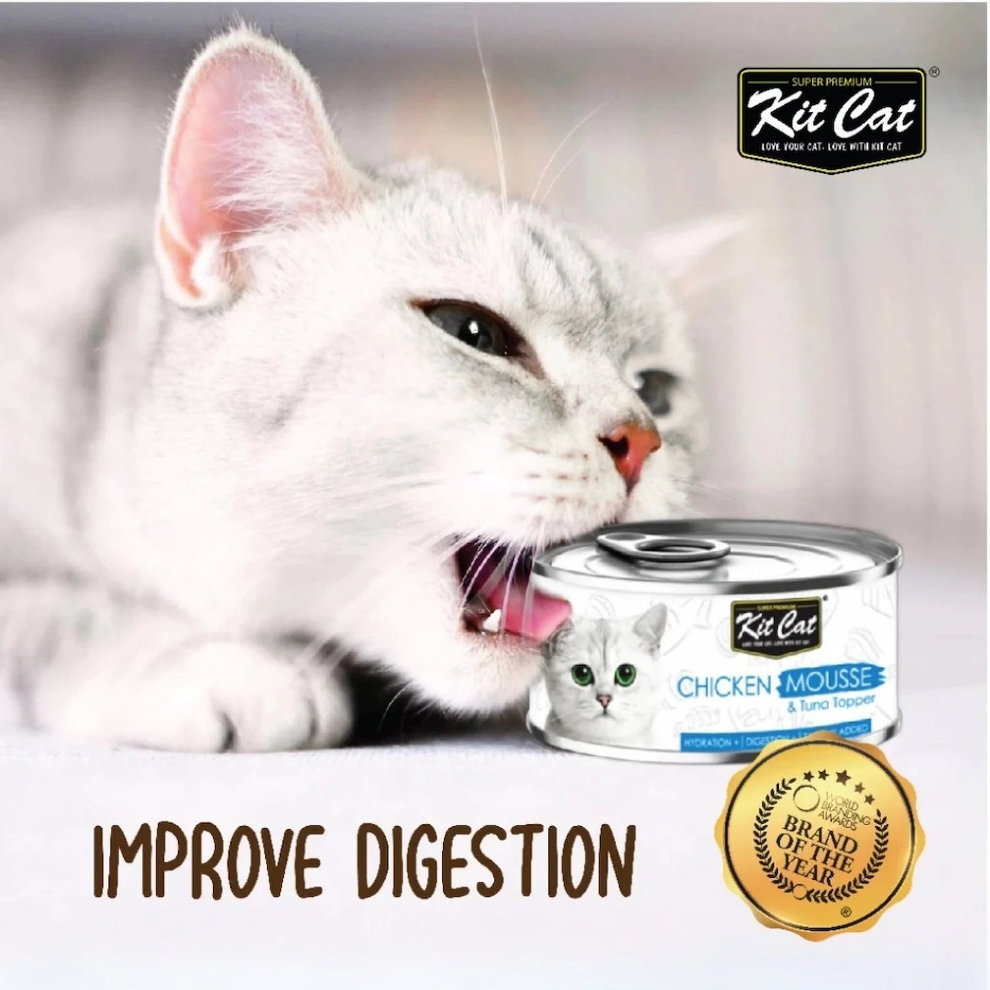 White kitten next to Kit Cat chicken mousse canned cat food