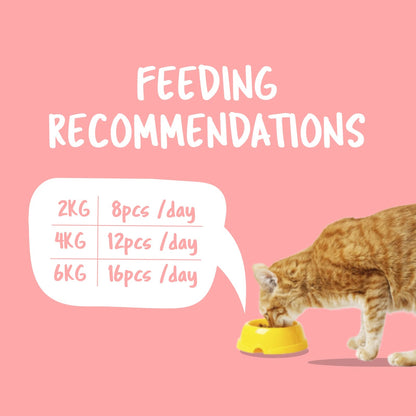 Kit Cat Purrfect Pockets Cat Treats — Hairball Control — Purrfect Pockets_Feeding_Hairball