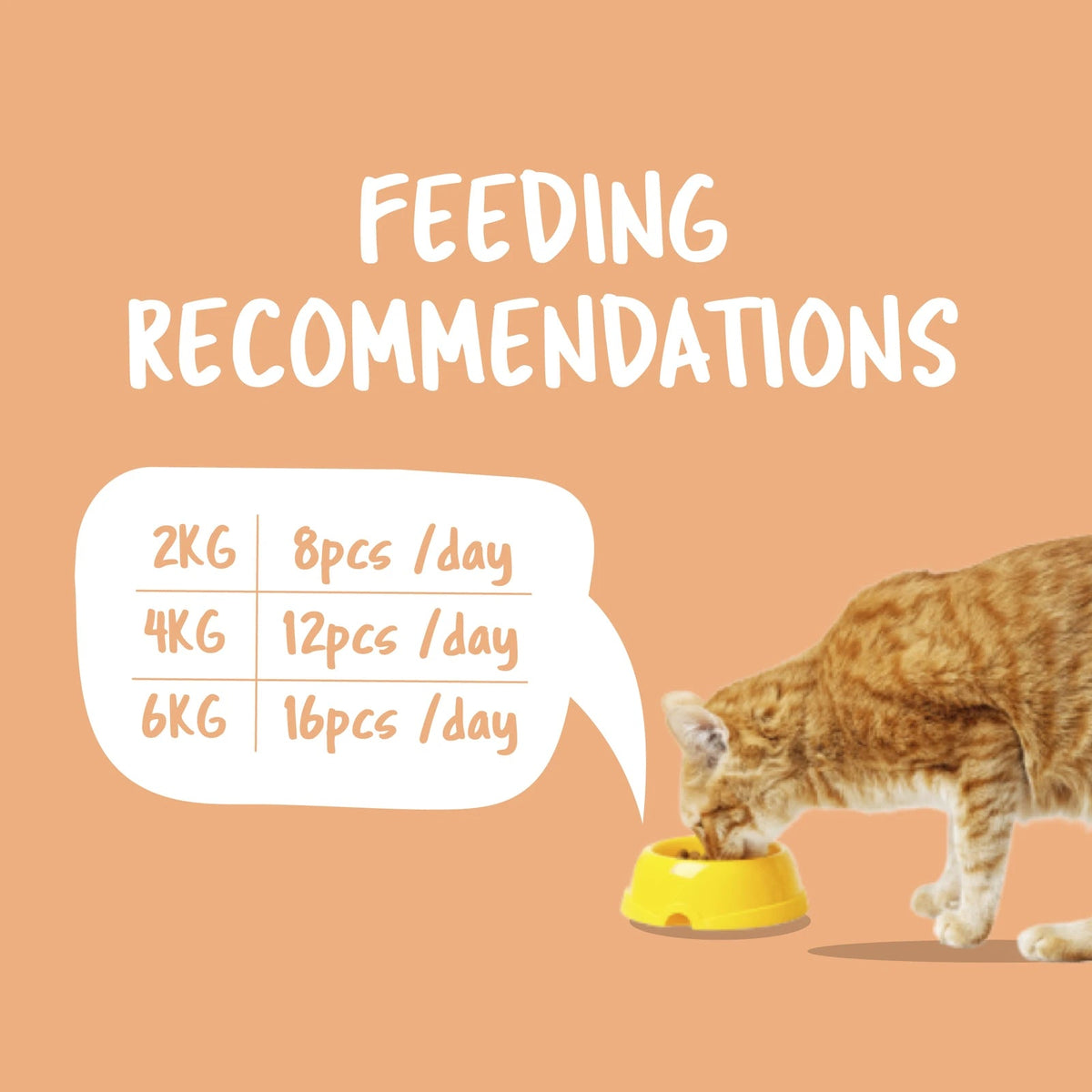Kit Cat Purrfect Pockets Cat Treats — Salmon — Purrfect Pockets_Feeding_Salmon
