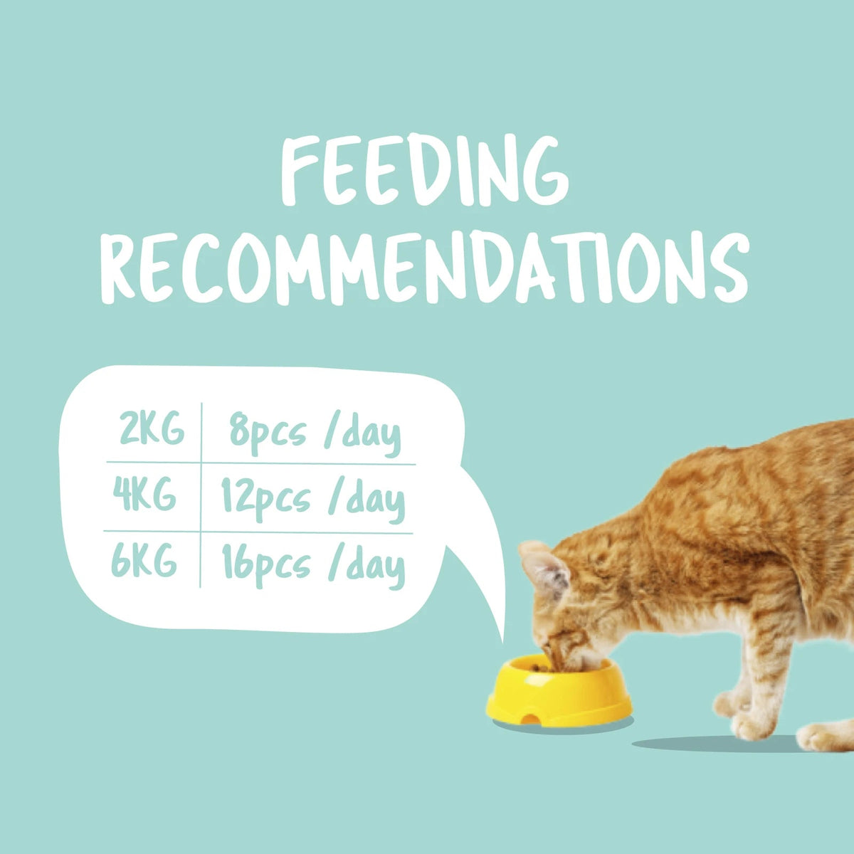 Kit Cat Purrfect Pockets Cat Treats — Skin & Coat Care — Purrfect Pockets_Feeding_Skin Coat